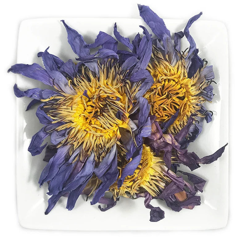 Blue Lotus Flower
