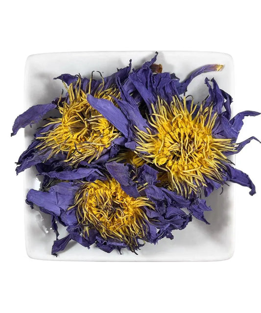 Blue Lotus Flower