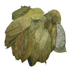 Soursop Leaf